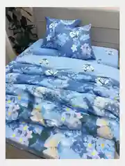 Постельное белье 1,5 сп / 2 спальное / евро / семейный Бязь ivSubelIa "Июль", 70x70