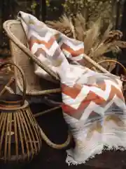 Плед Arya Хлопок 200X220 Zigzag Цветной