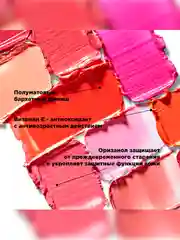 Nouba Помада для губ LIPSTICK velvet touch 17 3,5 мл