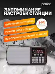 Коричневый радиоприемник цифровой Perfeo i120 Егерь FM+ 70-108МГц