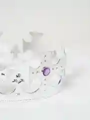 Серый металлик корона карнавальная