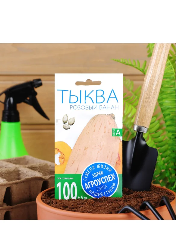 Семена Тыква "Розовый банан", 2 г