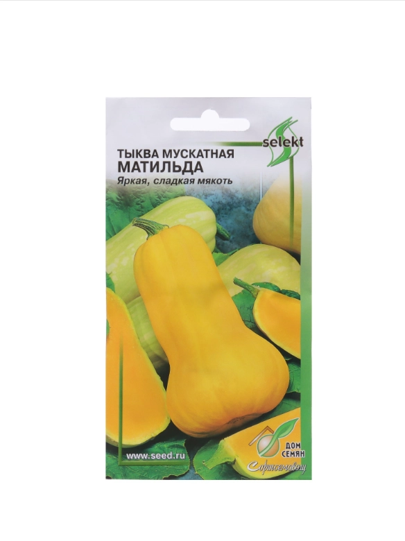 Семена Тыква мускатная "Матильда" select, 10 шт