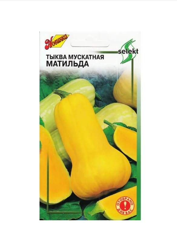 Семена Тыква мускатная "Матильда" select, 10 шт