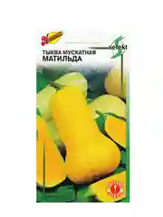 Семена Тыква мускатная "Матильда" select, 10 шт
