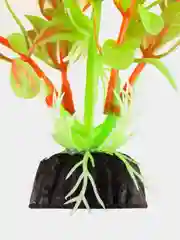 Коралловый меланж водоросли для аквариума