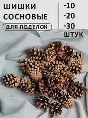 Шишки сосновые, 10 -30 штук в крафт пакете для поделок на новый год шишка сосна