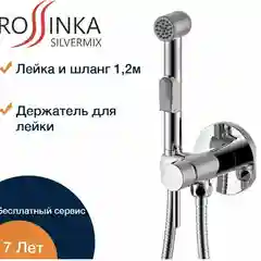 Смеситель Rossinka Silvermix X25-51, с гигиеническим душем, встраиваемый