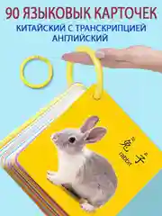 Карточки обучающие, китайский язык с транскрипцией, 90 карточек на кольце, развивающие