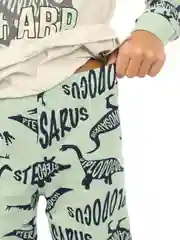 Разноцветный пижама для мальчика RoxyFoxy