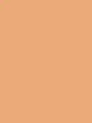 PHYSICIANS FORMULA Консилер Murumuru Butter Glow Concealer, тон: 02 светло-средний, 5,6 мл