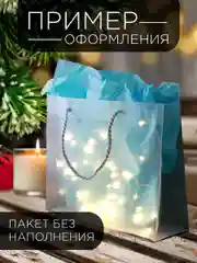 Набор прозрачных пакетов с ручкой, 3 шт, 25 х 20 х 8 см