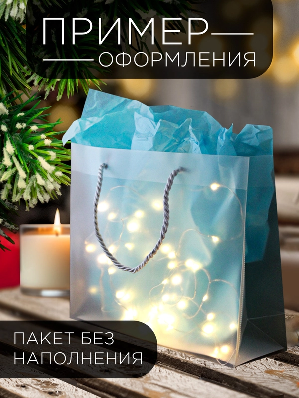 Набор прозрачных пакетов с ручкой, 3 шт, 25 х 20 х 8 см