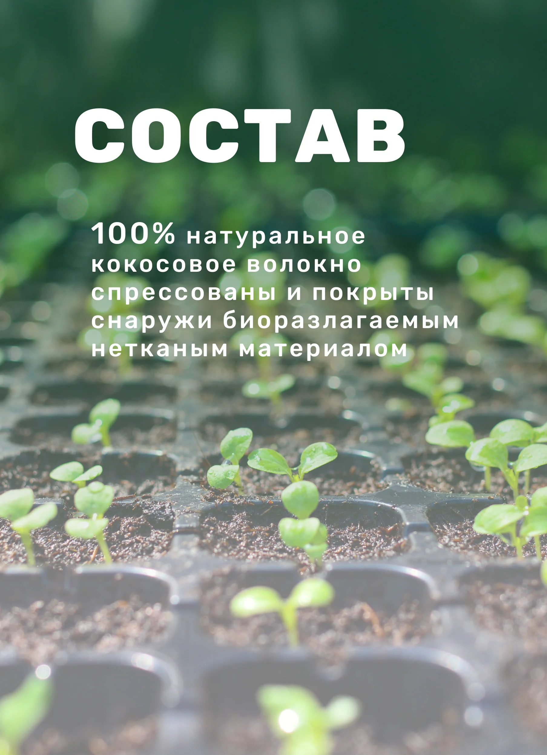 Торфяные таблетки для рассады 50 шт