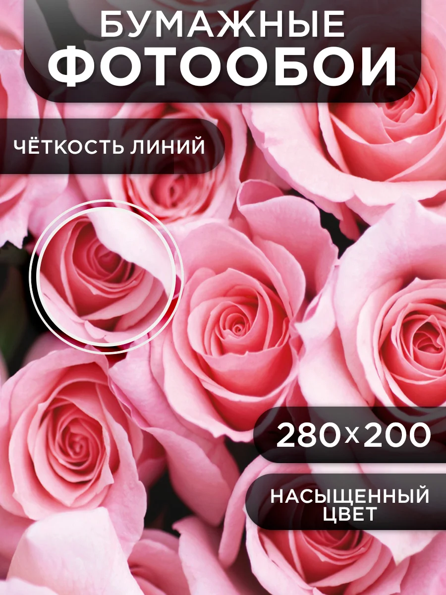 Фотообои бумажные Симфония "Нежность", 280х200 см