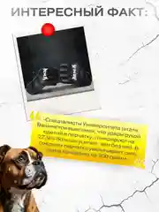 Черный музыкальная боксерская груша