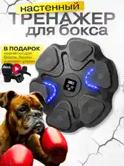 Музыкальная боксерская груша