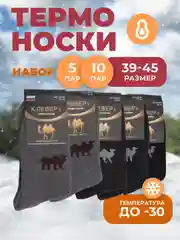 Набор термоносков, с верблюжьей шерстью, 10 пар