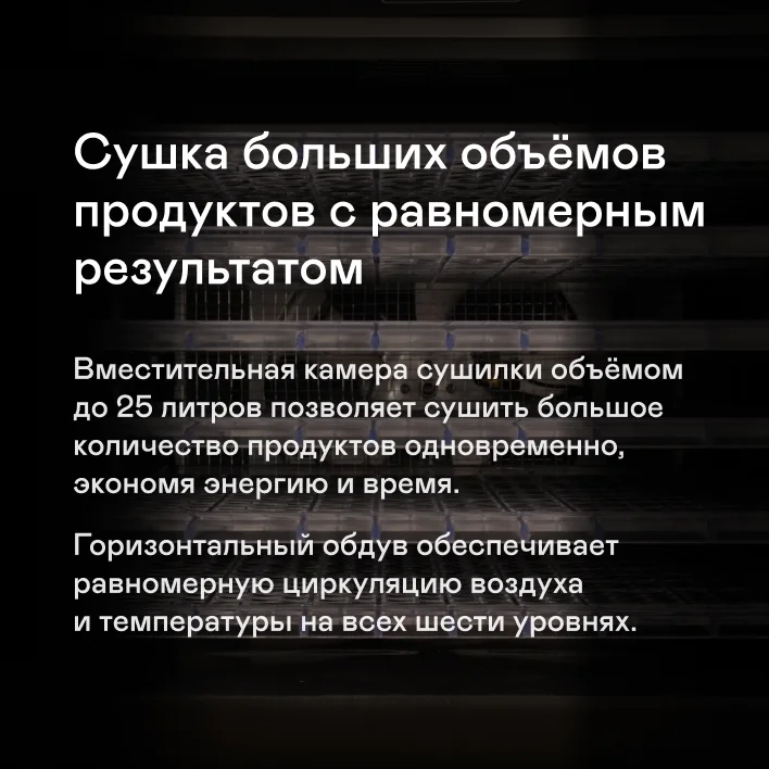 Сушилка для овощей и фруктов GARLYN D-06 / Дегидратор для мяса и рыбы