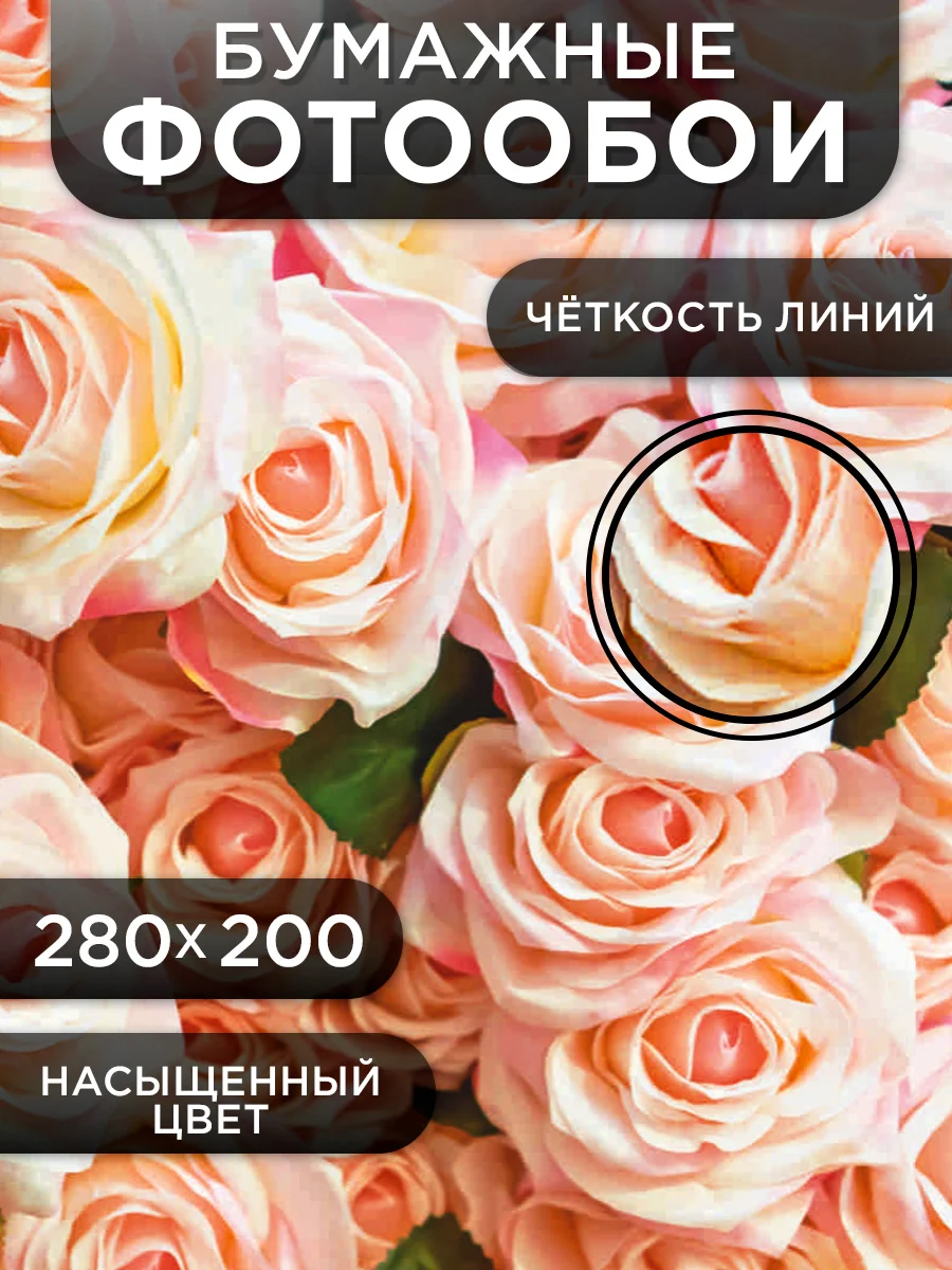Фотообои бумажные Симфония "Роскошные розы", 280х200 см