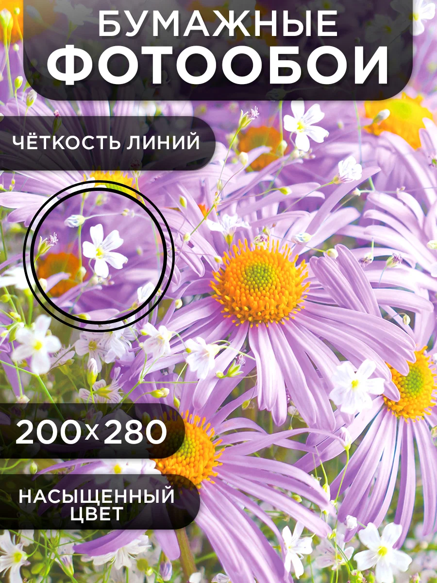 Фотообои бумажные Симфония "Чудное мгновение", 280х200 см