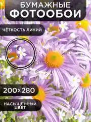 Фотообои бумажные Симфония "Чудное мгновение", 280х200 см