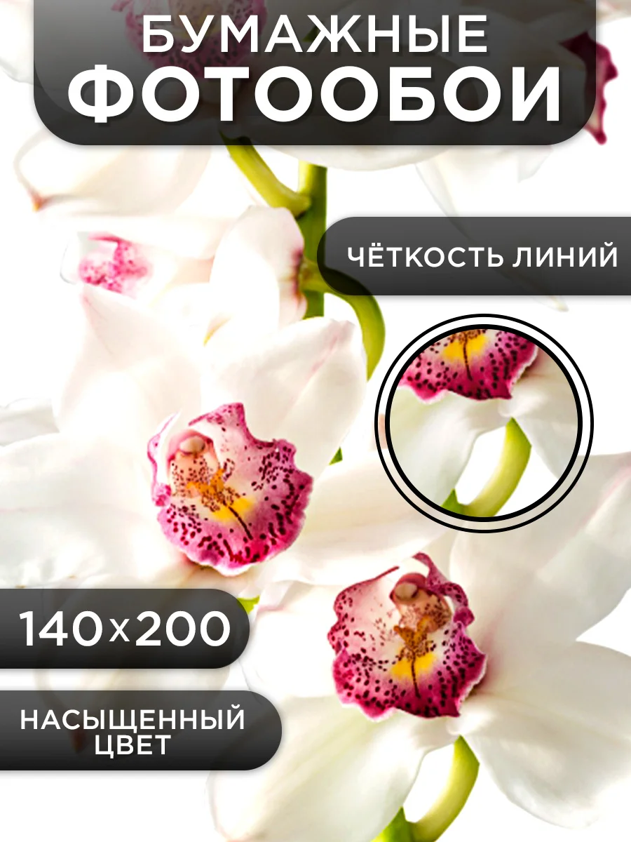 Фотообои бумажные Симфония "Изысканная орхидея", 140х200 см