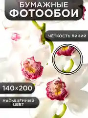 Фотообои бумажные Симфония "Изысканная орхидея", 140х200 см