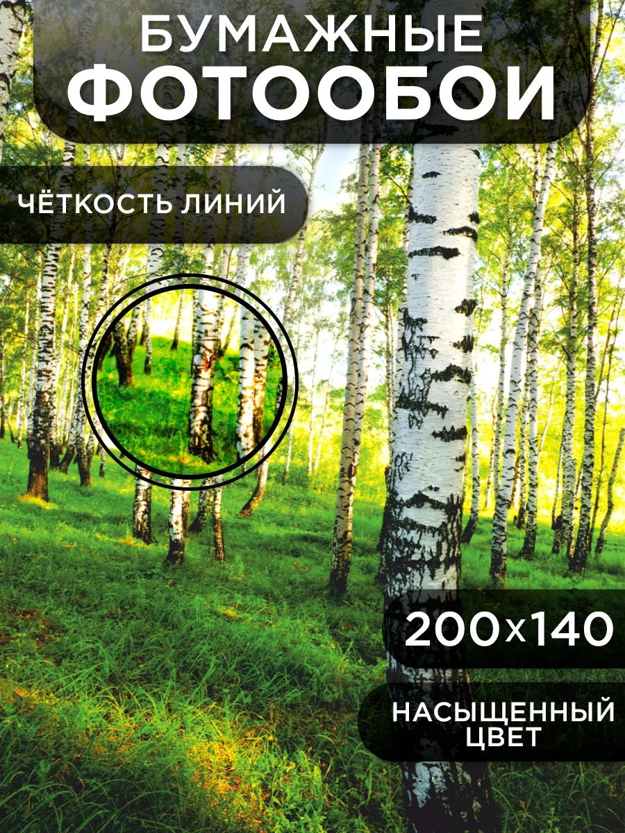 Фотообои бумажные Симфония "В берёзках", 200х140 см