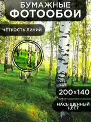 Фотообои бумажные Симфония "В берёзках", 200х140 см