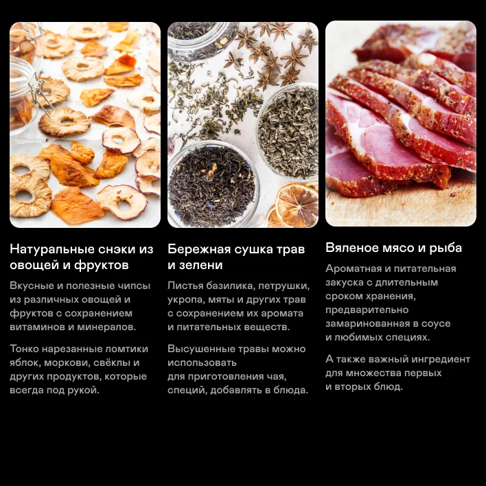 Сушилка для овощей и фруктов GARLYN D-06 / Дегидратор для мяса и рыбы