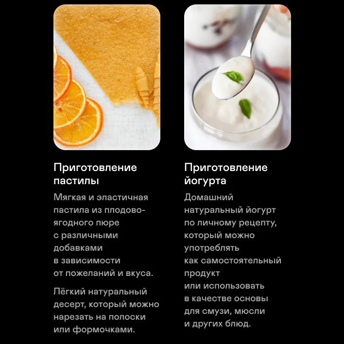 Сушилка для овощей и фруктов GARLYN D-06 / Дегидратор для мяса и рыбы