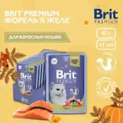 Корм влажный Brit Premium, для взрослых кошек, форель в желе, 85 г *14шт
