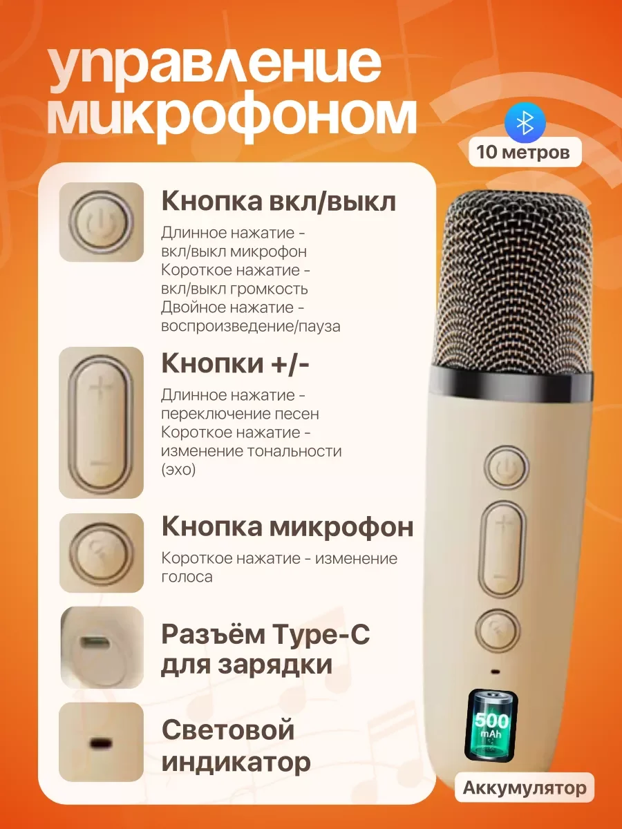 Караоке колонка беспроводная, с 2 микрофонами, для детей