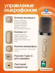 Караоке колонка беспроводная, с 2 микрофонами, для детей