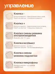 Караоке колонка беспроводная, с 2 микрофонами, для детей
