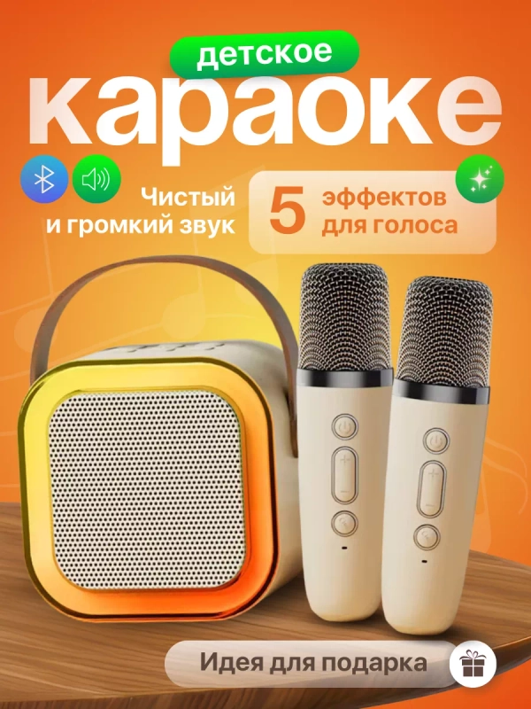 Караоке колонка беспроводная, с 2 микрофонами, для детей