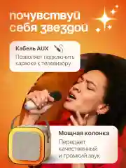 Караоке колонка беспроводная, с 2 микрофонами, для детей