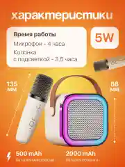 Караоке колонка беспроводная, с 2 микрофонами, для детей
