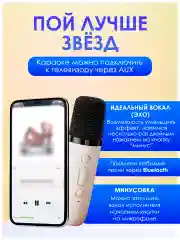 Музыкальная беспроводная колонка с микрофонами караоке