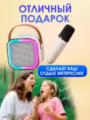 Музыкальная беспроводная колонка с микрофонами караоке