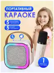 Музыкальная беспроводная колонка с микрофонами караоке