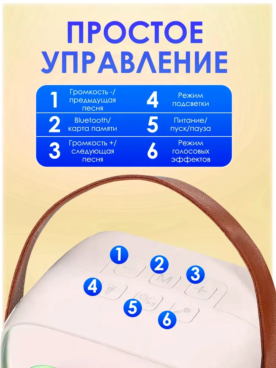 Музыкальная беспроводная колонка с микрофонами караоке