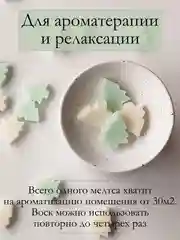 Мятный подарочный набор Аромасаше / Саше для белья / Саше для шкафа / Wax melts для аромалампы