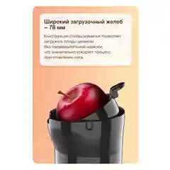 Соковыжималка шнековая GARLYN J-300
