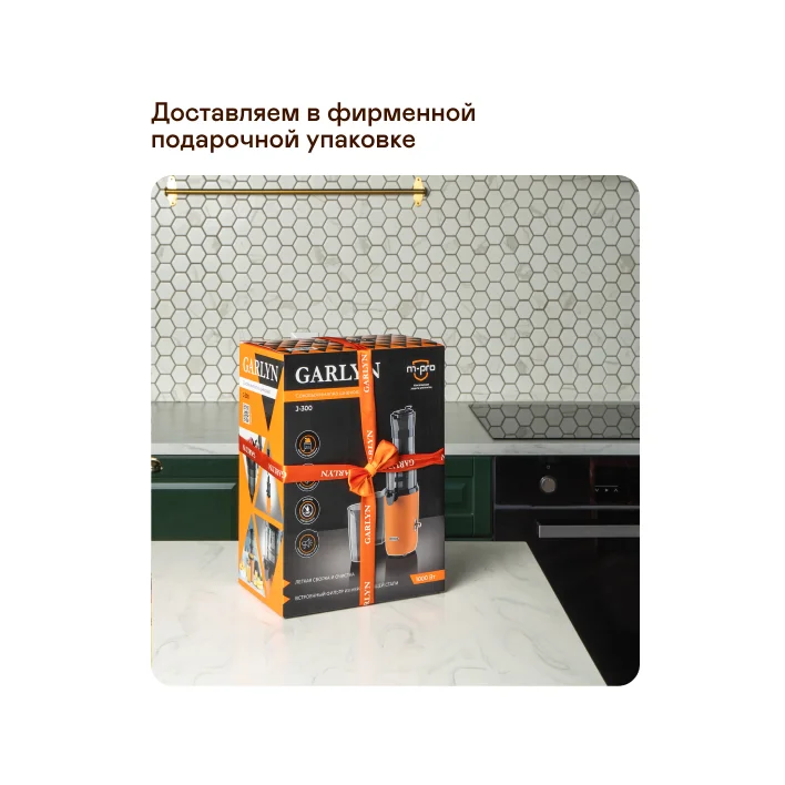 Соковыжималка шнековая GARLYN J-300