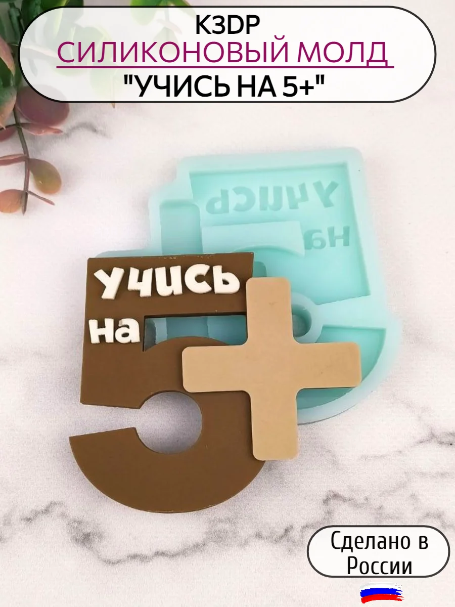 Силиконовая форма "Учись на 5+" молд для шоколада