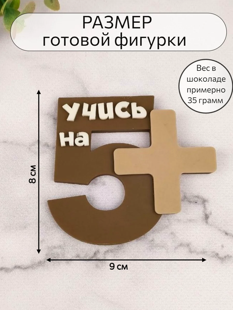 Силиконовая форма "Учись на 5+" молд для шоколада
