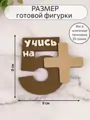 Силиконовая форма "Учись на 5+" молд для шоколада