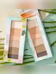 PHYSICIANS FORMULA Палетка теней MATTE MONOI BUTTER EYESHADOW тон: румяный нюд 3.4г